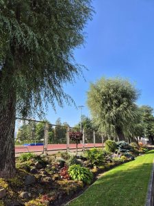 0cf58629-2a24-40d7-b836-cc142b7851ae