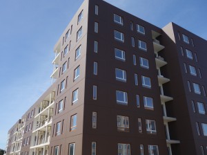 2016-09-12-13.19.07 (2)