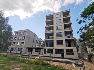 216012854 198860888724295 4645329263313445979 n