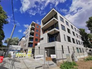 216177089 970286427105702 1546840575215274346 n