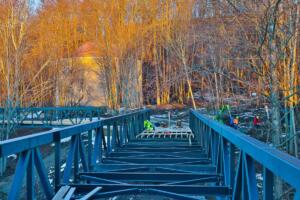 270306523 290755063109142 4541770815145858746 n