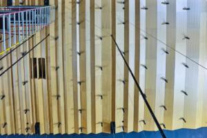 270371590 290753506442631 3339463540828588911 n