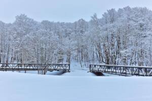 271846537 301334005384581 8703049543466543089 n