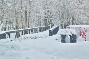 271857067 301333875384594 7800690164503013496 n