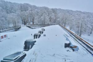 271888699 301334222051226 8641236663528651697 n