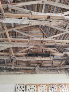 44705174 1146070682224766 5217680507751366656 n