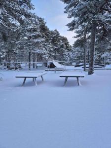 467865582 1070579988191650 8762469355087889556 n