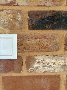 491019313 1173823427867305 1568351633495266078 n