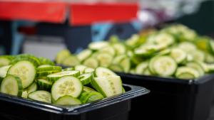 549057606 1292997255949921 6978356318864228784 n