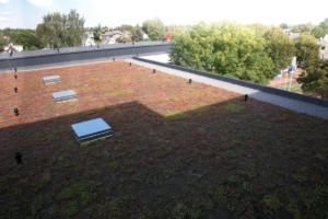 69585091 10157734547644208 448492188834201600 o