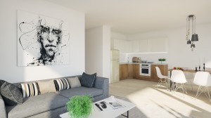 alvari elutoa vaade (2)