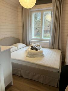 d3b0841c-e306-4f02-9a5a-49ef678c7eec