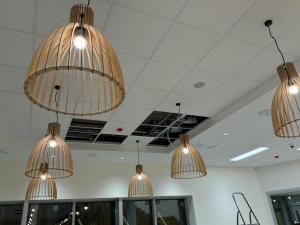 f1d86579-95de-4c43-ac53-e1ddfc1b44d8